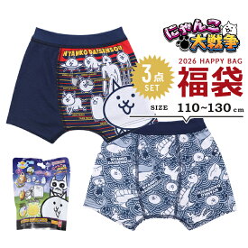 福袋 2026 にゃんこ大戦争 男の子 パンツ 下着 3点セット 福袋 2026年 110cm 120cm 130cm 春夏秋冬 子供用 おしゃれ ボクサーブリーフ 入浴剤 マスコット おもちゃ ボーイズ 新春福袋 小学生 小学校 お風呂 男児