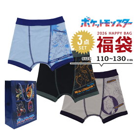 福袋 2026 ポケモン パンツ 男の子 3枚 下着 ボクサーブリーフ 3点セット 福袋 2026年 110cm 120cm 130cm pokemon 春夏秋冬 子供用 おしゃれ ボクサーパンツ ポケットモンスター ピカチュウ ピカチュー ボーイズ 新春福袋 小学生 小学校 男児