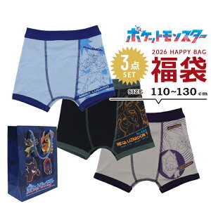 y\z 2026 |P pc j̎q 3  {NT[u[t 3_Zbg  2026N 110cm 120cm 130cm pokemon tďH~ qp  {NT[pc |PbgX^[ sJ`E s