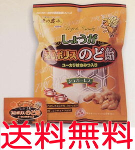 Ii傤jv|X̂ǈ@80g Tt[ LfB[ s `OXց@ǐՔԍ