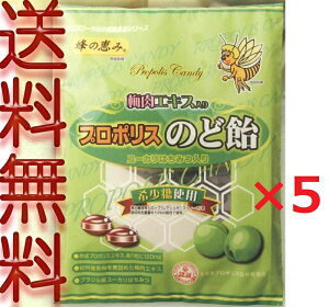 【送料無料】プロポリス入り 梅肉のど飴 80g×5袋 サンフローラ キャンディー 代引OK