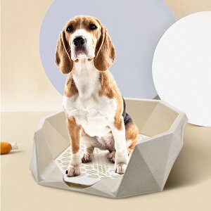 犬 トイレ トレー おしゃれの人気商品 通販 価格比較 価格 Com 犬 トイレ トレー おしゃれの人気商品 通販 価格比較 価格 Com