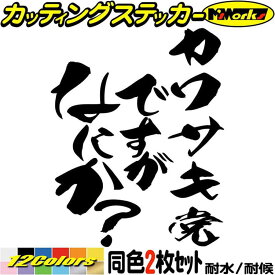 車 バイク おもしろ ステッカー カワサキ党ですがなにか？ (2枚1セット) カッティングステッカー 全12色(120mmX95mm) 面白 ギャグ ネタ ボート ワンポイント ツール ボックス タンク デカール 転写 防水 耐水 ユニーク アウトドア