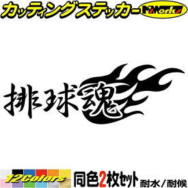 バレーボール ステッカー 排球魂 ( バレーボール ) (2枚1セット) カッティングステッカー 全12色(65mmX195mm) 車 バイク かっこいい タンク ウィンドウ カウル ヘルメット バレー アウトドア 防水 耐水 転写 切り文字 シール