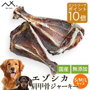 yGg[ P10{zq br  W[L[ W[L[    a  ^  {[ ^ ^ YhbOt[h S  p ʂ 