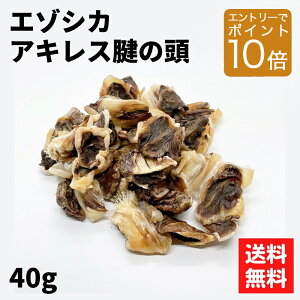 yGg[ P10{z}jAbNiIqALXF̓ 40grz G]VJ    Y G]VJ p   G]   p GT a ̉a yb