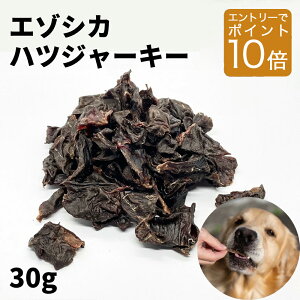 yGg[ P10{zSLxqncW[L[30gr W[L[  nc ͂ Y p  W[L[ pW[L[  ̉a ̂ Y ̂ p VjA 