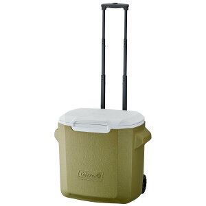 y|Cg10{zR[} Coleman zC[N[[ / 28QT / I[uiԁF2205748