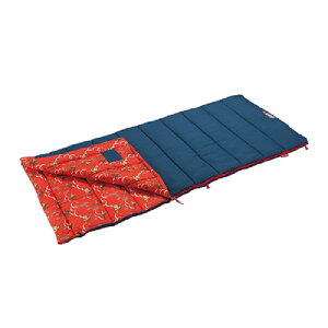 y|Cg10{zR[} Coleman R[W[2 / C5iIWjiԁF2000034772