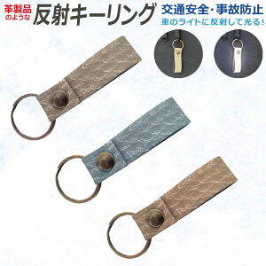  vî悤 tN^[ ˃L[z_[ L[O U[X^C^O uV[gvʈSECgŌI ʋ ʊw  ɁI ˔ L[z_[