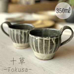 yMyāz\}OJbv 350ml zCg  Ղ a CeA v[g 蕨 eLO H+dqWΉ {Z×q
