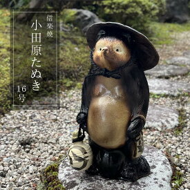 小田原たぬき16号 信楽焼 たぬき 縁起物 和風 置物 庭園陶器 開店祝い 新築祝い 引っ越し祝い ギフト お祝い 店先 お庭 玄関に