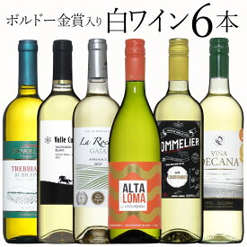 ボルドー金賞入 白6本 ワイン セット wine ギフト 父の日 750ML