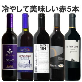 【ソムリエ厳選】冷やして美味しい赤ワイン5本セット！5名のソムリエチームが厳選に厳選 ギフト 母の日 750ML