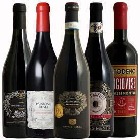 全てアパッシメント イタリア赤ワイン5本セット ワイン セット wine ギフト 御中元 750ML