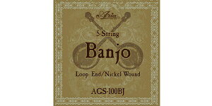 ARIAiAAj /̑yp AGS-100BJ