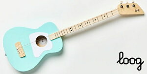 Loogi[Oj ~jAR[XeBbNM^[ Pro Acoustic Guitars Green