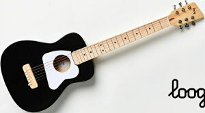Loogi[Oj ~jAR[XeBbNM^[ Pro VI Acoustic Guitars Black