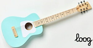 Loogi[Oj ~jAR[XeBbNM^[ Pro VI Acoustic Guitars Green