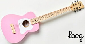 Loogi[Oj ~jAR[XeBbNM^[ Pro VI Acoustic Guitars Pink