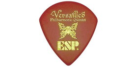 ESP（イーエスピー） ピック・アーティストモデル PA-VH15 Versailles / HIZAKI