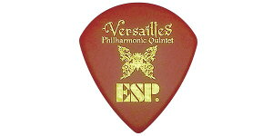 ESP(イーエスピー) ピック・アーティストモデル PA-VH15 Versailles / HIZAKI