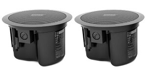 BOSEi{[Yj FreeSpace FS2CB V䖄^Xs[J[