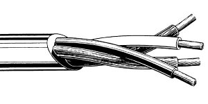 CANARE(カナレ) スピーカーケーブル・リール売り 4S10F 100m Black