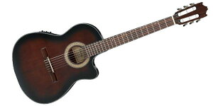 IbaneziACoj[Yj GAR M^[ GA30TCE-DVS