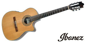 IbaneziACoj[Yj GAR M^[ GA30TCE-NT