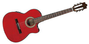 IbaneziACoj[Yj GAR M^[ GA30TCE-TRD