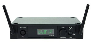 CLASSIC PROiNVbNvj CX/V[o[ CWR241