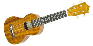 ARIAiAAj AU-1KG \vmEN