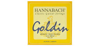HANNABACHiniobnj NVbNM^[o 7252MHT -Goldin 2(B)-