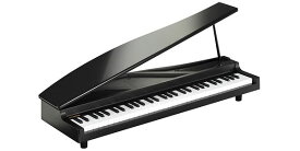KORG（コルグ） ピアノ風キーボード microPIANO Black