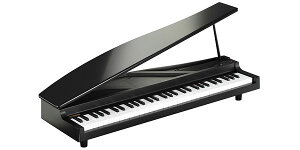KORGiROj sAmL[{[h microPIANO Black