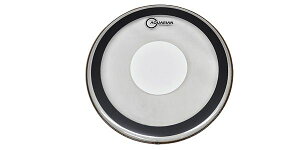 AQUARIAN�i�A�N�G���A���j �h�����w�b�h/�X�l�A�p PFPD14