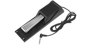 CASIOiJVIj y_/ANZT[ SP20 TXeCy_