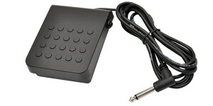 CASIOiJVIj y_/ANZT[ SP3 TXeCy_