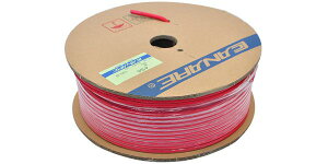 CANAREiJij Xs[J[P[uE[ 4S6 100m RED