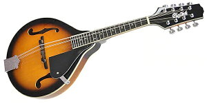 PLAYTECHivCebNj SA100 VS AX^Ctbg}h