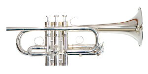 PLAYTECHivCebNj PTTR-200E gybg Eb/D