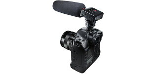 TASCAMi^XJj nfBR[_[ DR-10SG@jAPCMR[_[