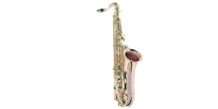 楽天市場】PLAYTECH（プレイテック） PTTS-300 テナーサックス ローズ 