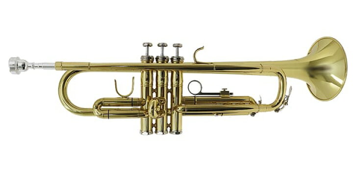 楽天市場】PLAYTECH（プレイテック） PTTR-200 Bbトランペット クリア 