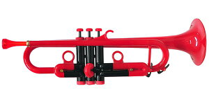 PLAYTECHivCebNj PTTR100RD@vX`bNgybg bh