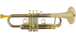 PLAYTECHivCebNj PTTR100GD vX`bNgybg S[h