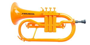 PLAYTECHivCebNj t[Qz IW PTFH100OR