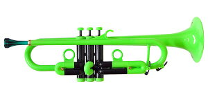 PLAYTECHivCebNj PTTR100GR vX`bNgybg O[