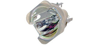 PHILIPS�i�t�B���b�v�X�j �f�B�X�`���[�W�����v MSD Platinum 16R